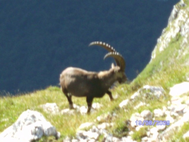 PRISOJNIK-KRIŠKI P.-TRIGLAV 18-20.08.08 - foto