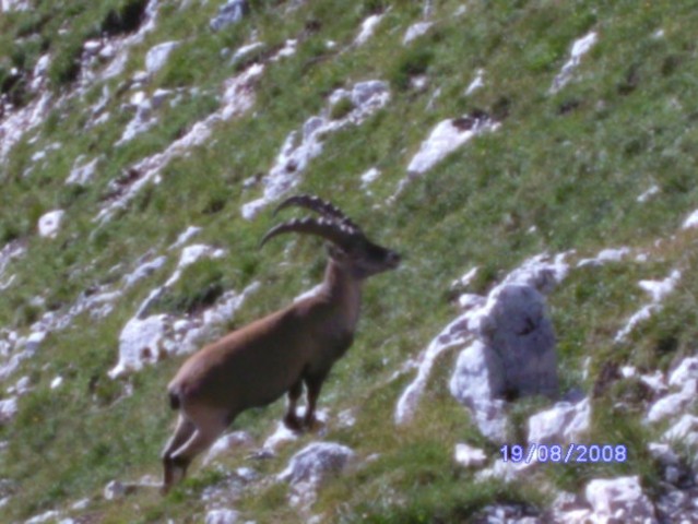 PRISOJNIK-KRIŠKI P.-TRIGLAV 18-20.08.08 - foto