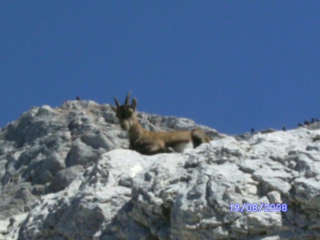 PRISOJNIK-KRIŠKI P.-TRIGLAV 18-20.08.08 - foto