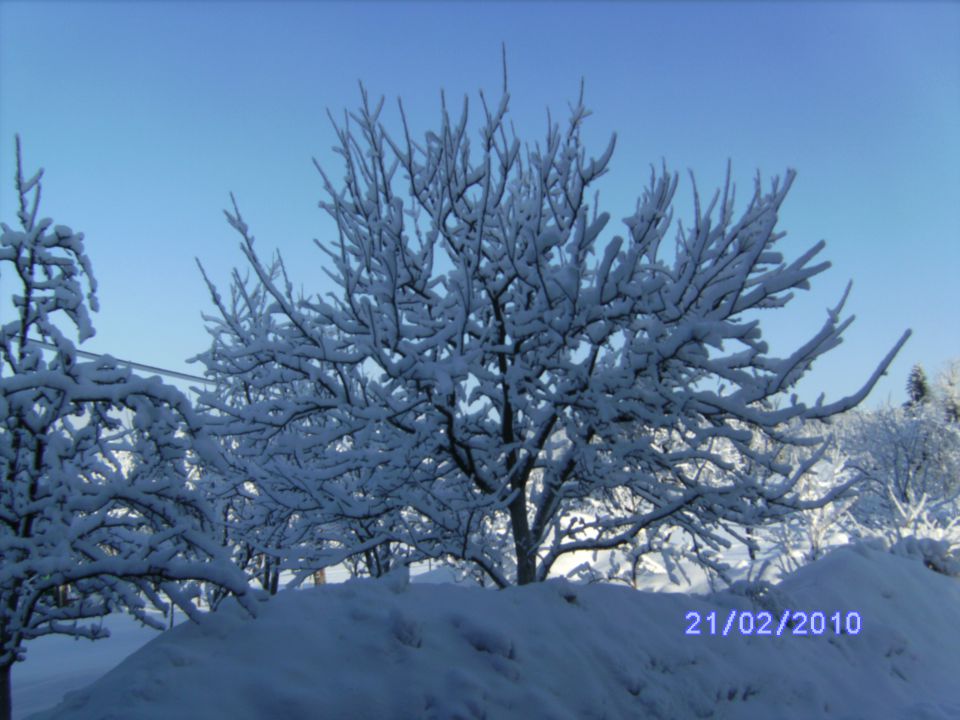 Zima 2010 domači kraj 18.1.2010 - foto povečava