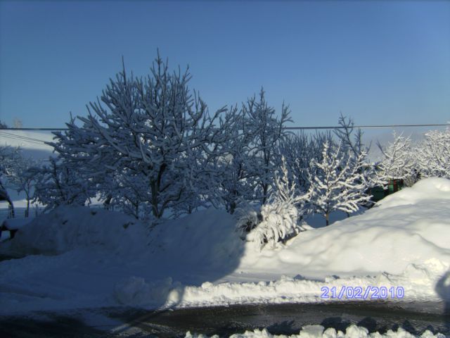 Zima 2010 domači kraj 18.1.2010 - foto