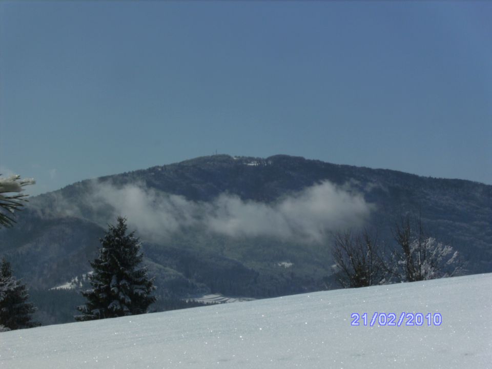 Zima 2010 domači kraj 18.1.2010 - foto povečava