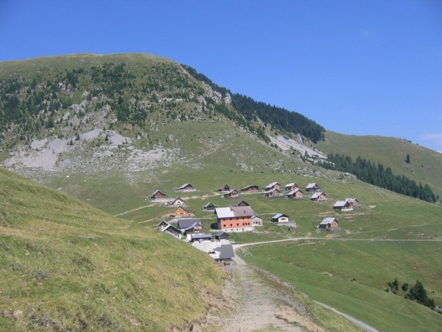 Ojstrnik z Bistriško planino