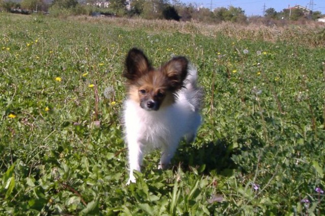 Andy-4.mesec - foto