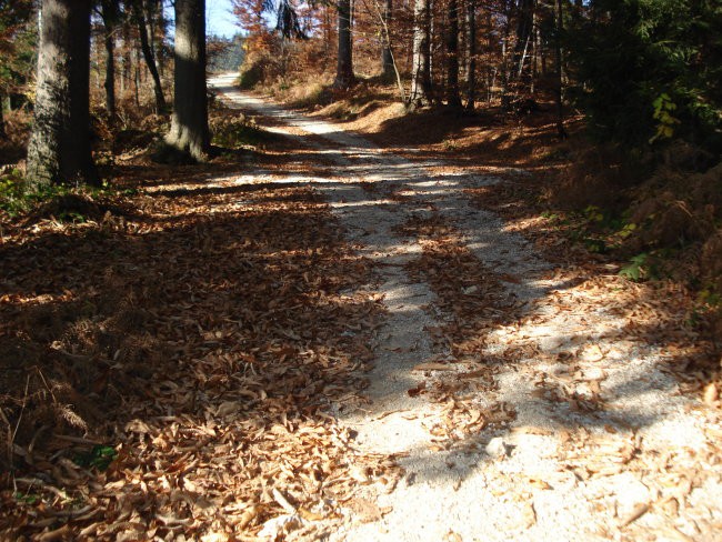 Sv . Mohor ( 8.11.07) - foto povečava