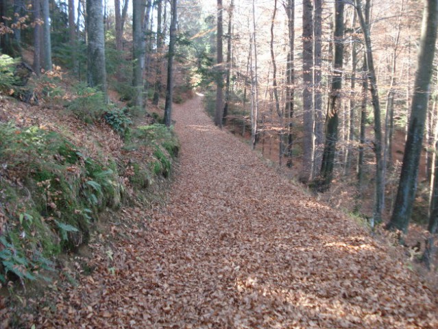 Sv . Mohor ( 8.11.07) - foto