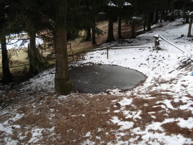 Zamrznjeno jezerce , kjer se poleti verjetno napaja živina.