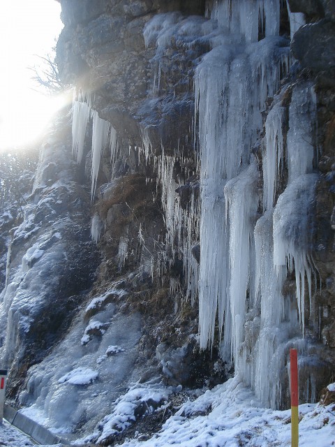 Vzpon nad dolino Kokre ( 31.12.08 ) - foto