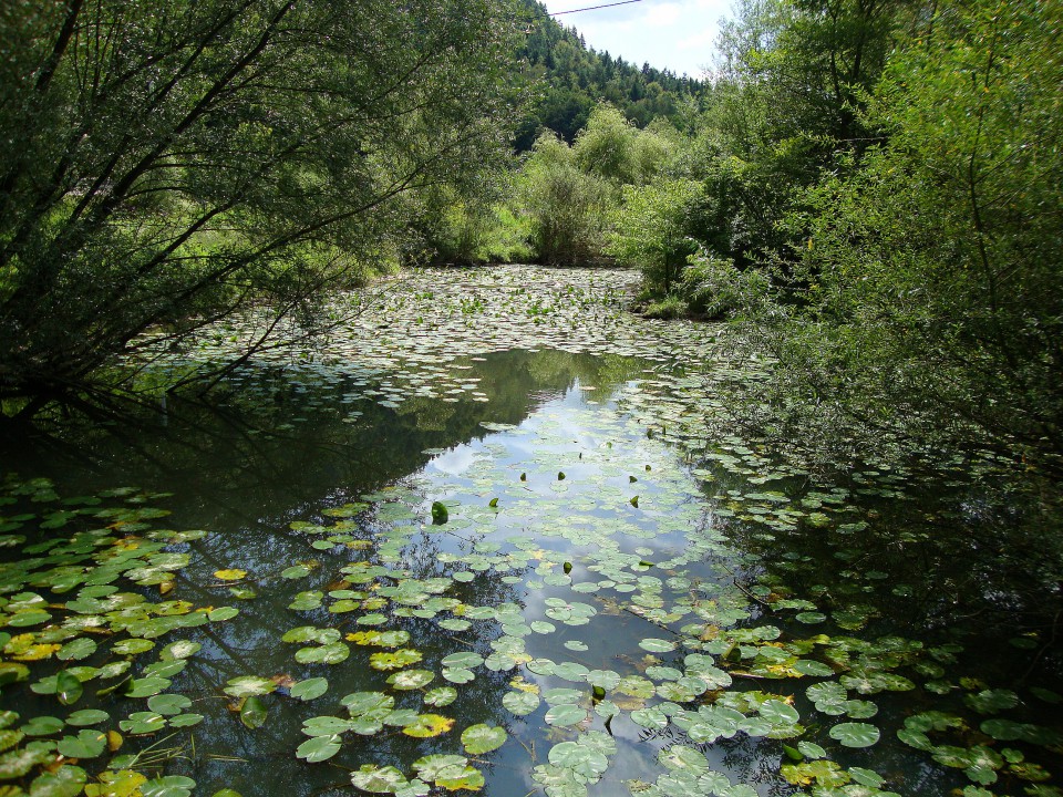 Porečje Ljubljanice. 