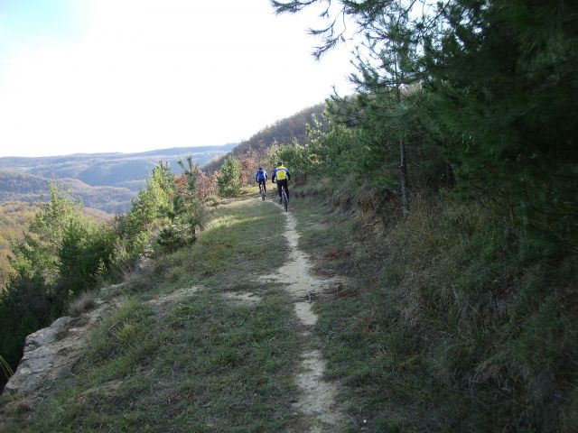 Drugi predogled Predbožične 2009  - foto