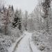 Zadnji kilometer pred Kranjem