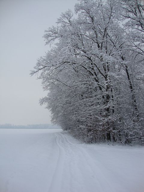 Zima 2009 / 2010  - foto
