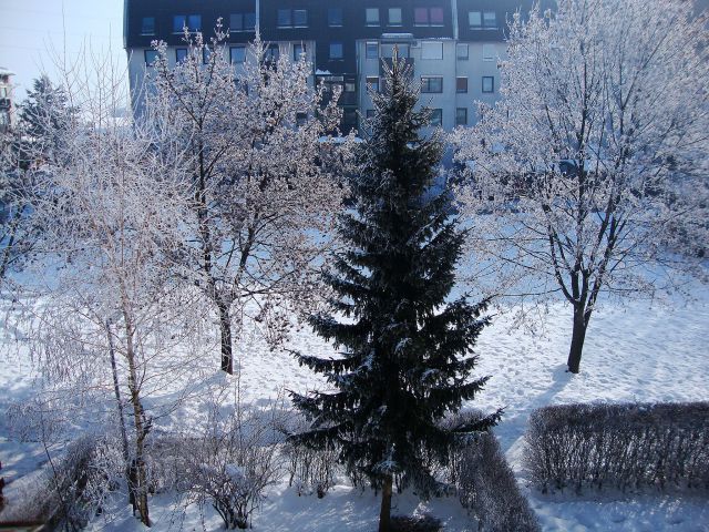 Zima 2009 / 2010  - foto