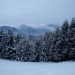 Jošt nad Kranjem (30.1.10)