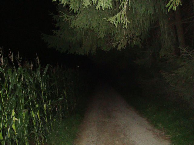 Nočna 3.9.2010, mimo Brda pri Kranju