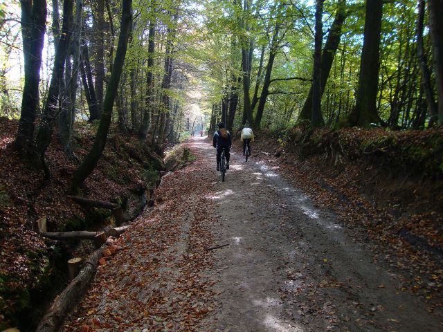 Rašica & Mengeška koča - foto