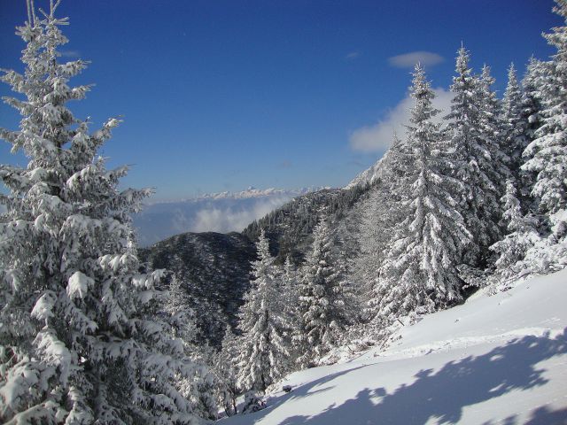 Srednji vrh (22.1.2011)