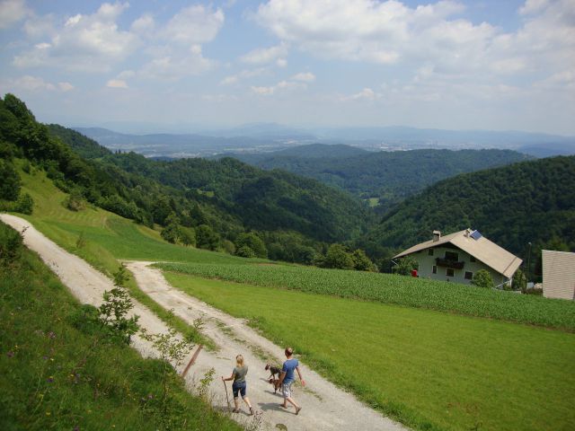 Pomlad & poletje - foto