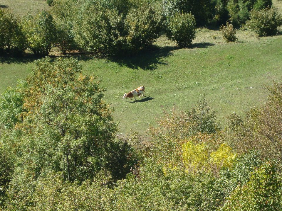 Bičkova skala (1.10.2011) - foto povečava