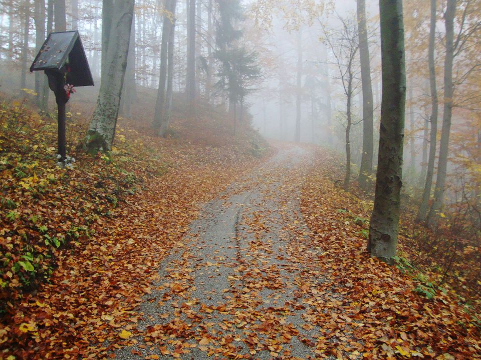 Šmarjetna nad Kranjem/ Sv.Jošt/ Mohor - foto povečava