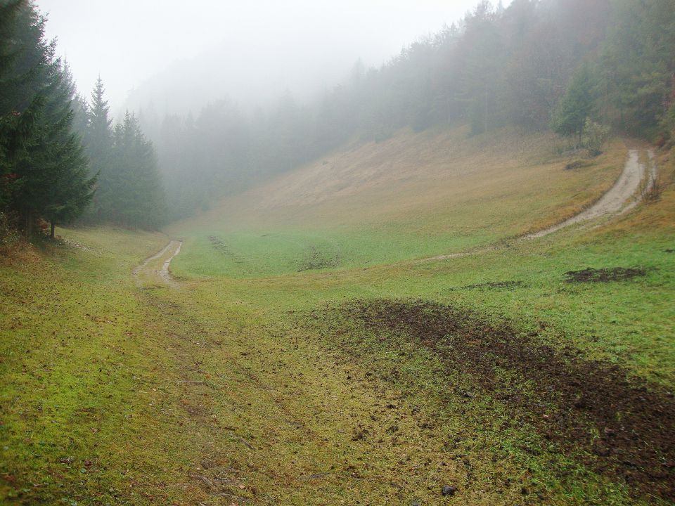 Šmarjetna nad Kranjem/ Sv.Jošt/ Mohor - foto povečava