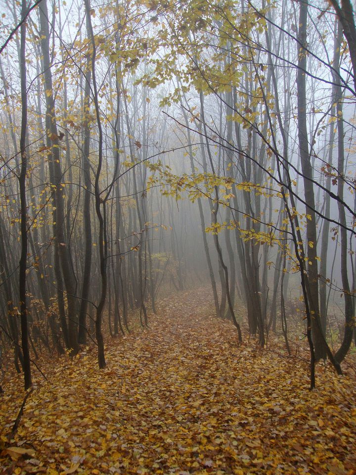 Šmarjetna nad Kranjem/ Sv.Jošt/ Mohor - foto povečava