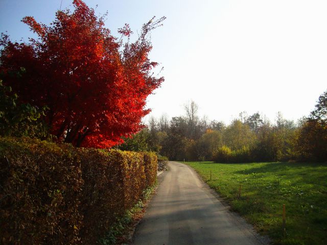 Sv jakobom nad medvodami - foto