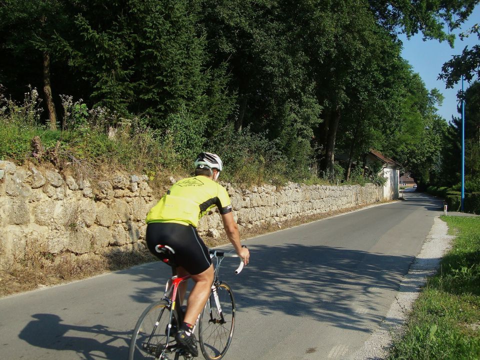 Pomlad poletje 2012 - 2013 - foto povečava