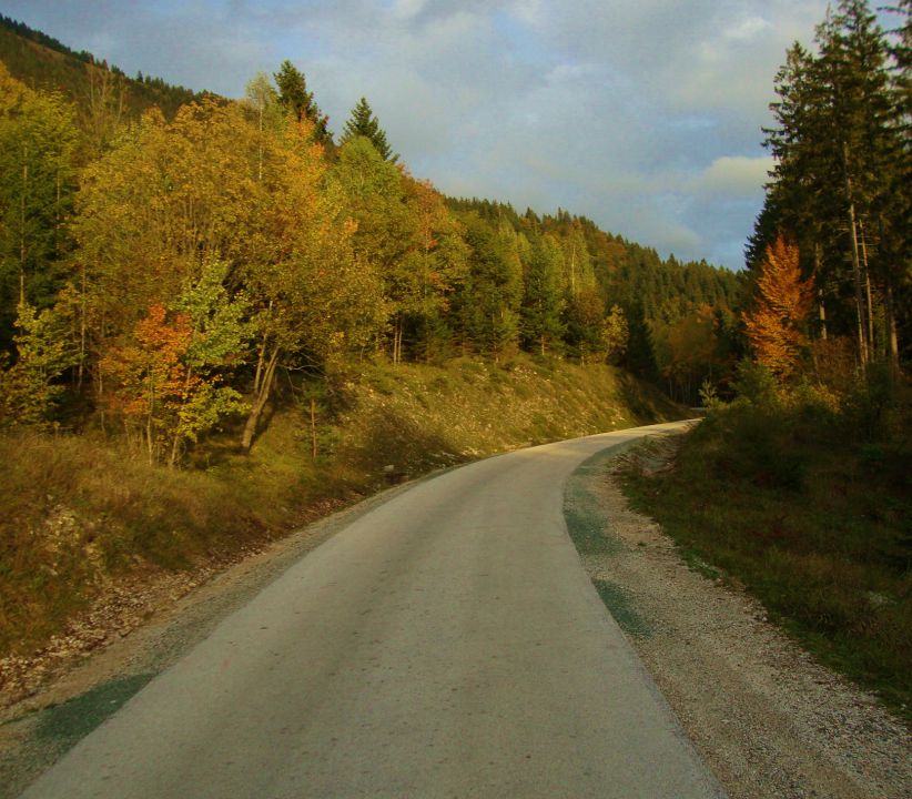 Pomlad poletje 2012 - 2013 - foto povečava