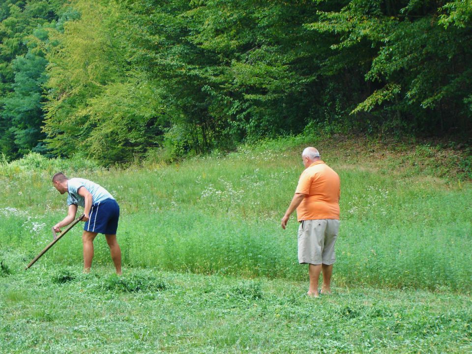 BOSNA (Republika Srbska) - 2012 - foto povečava