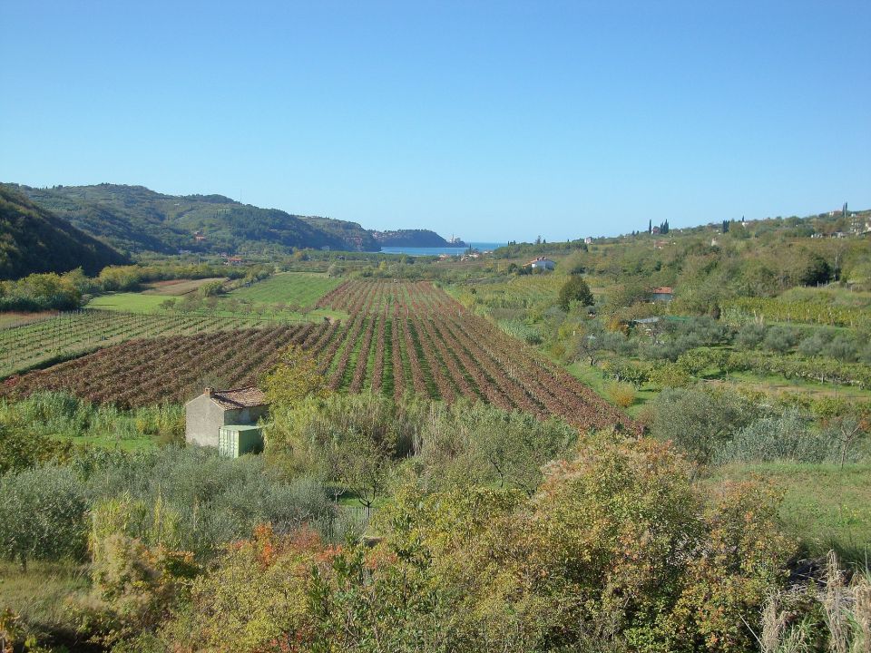 Strunjan 2012-(kolesarski del) - foto povečava