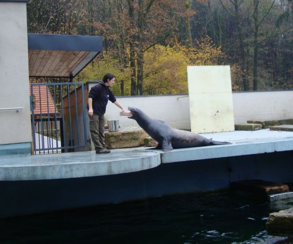 Ljubljana- (živalski vrt) 2012 - foto