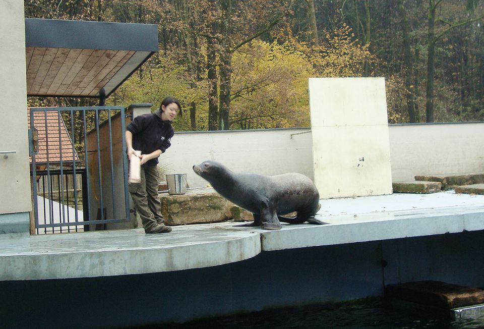 Ljubljana- (živalski vrt) 2012 - foto povečava