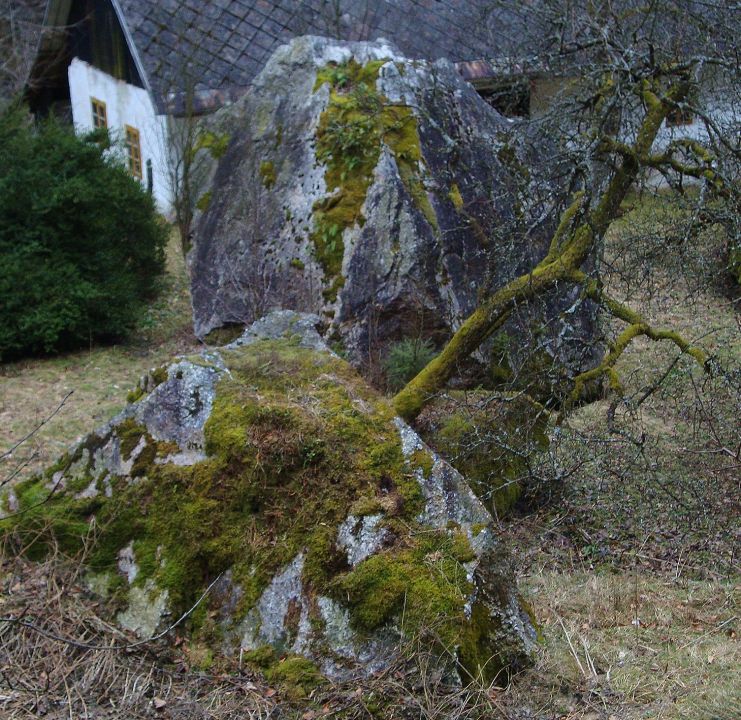 Zima 2012-2013 - foto povečava