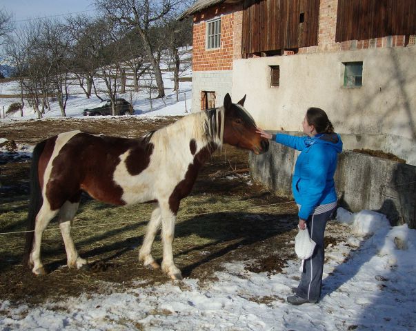 GOZD (30.1.13)