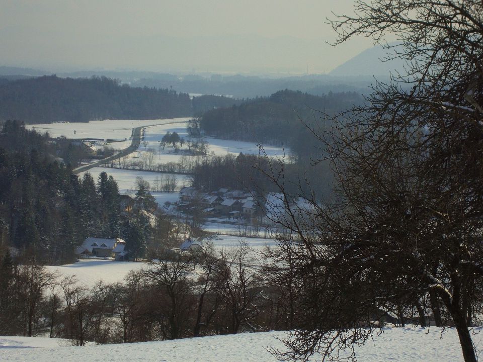 Zima 2012-2013 - foto povečava