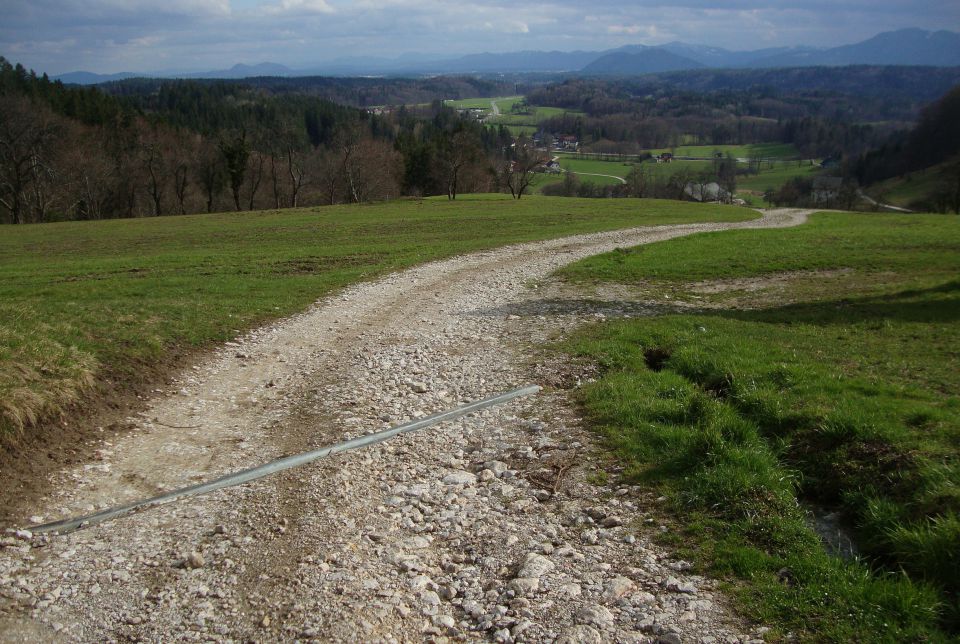 Pomlad poletje 2013 / 2014 - foto povečava