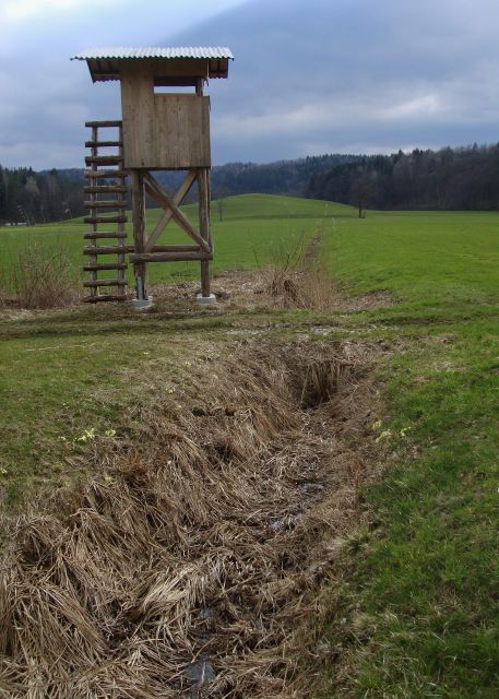 Pomlad poletje 2013 / 2014 - foto