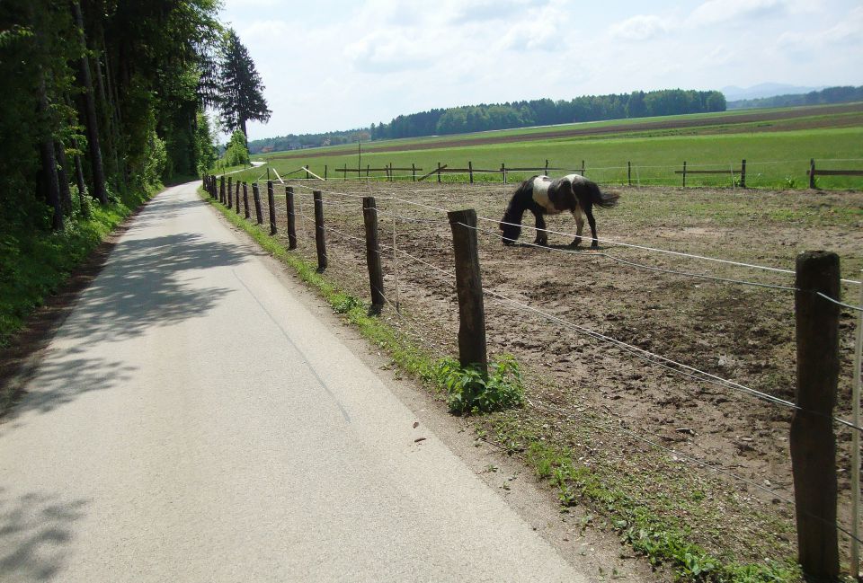 Pomlad poletje 2013 / 2014 - foto povečava