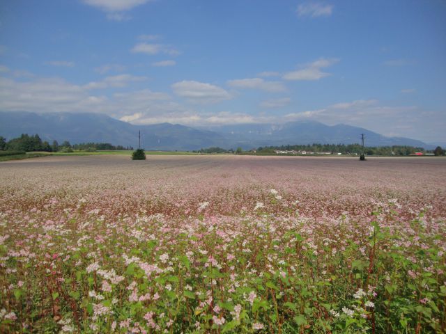 Različno dogodki - foto