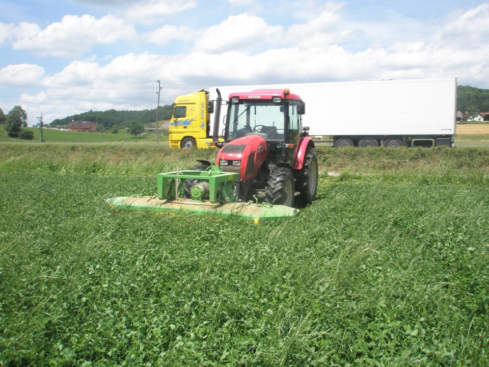 2. košnja 2009 - foto povečava