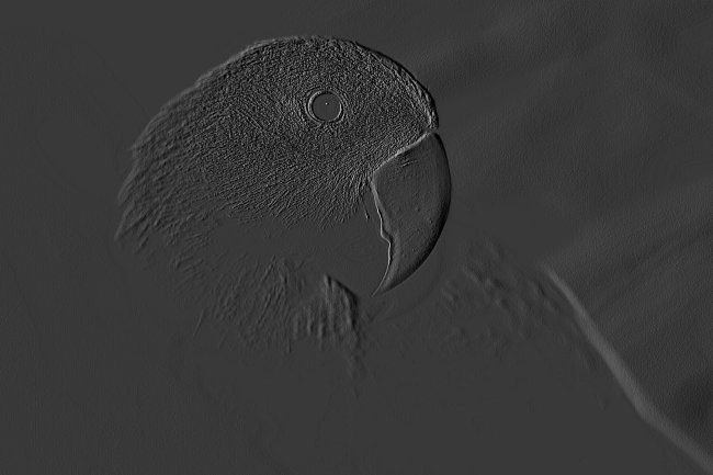 Svega - foto povečava