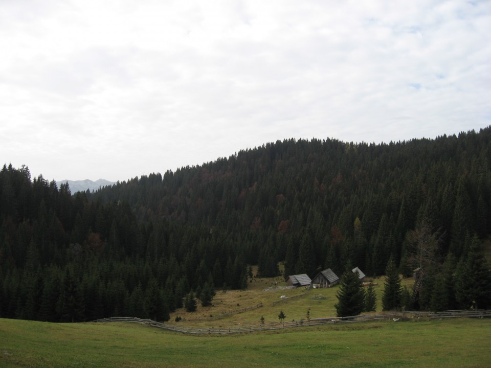 Delček planine Konjska dolina, ki je zelo velika, večina stanov se mi zdi, da služijo kot 