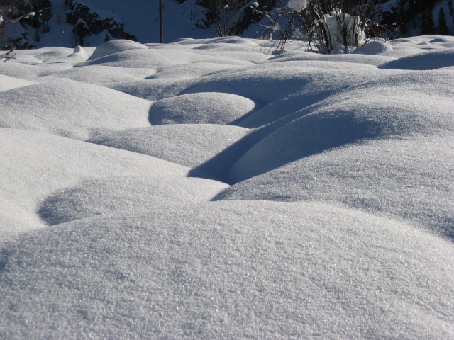 Rateče-Tamar (s tekaškimi smučmi)-21.12.2008 - foto