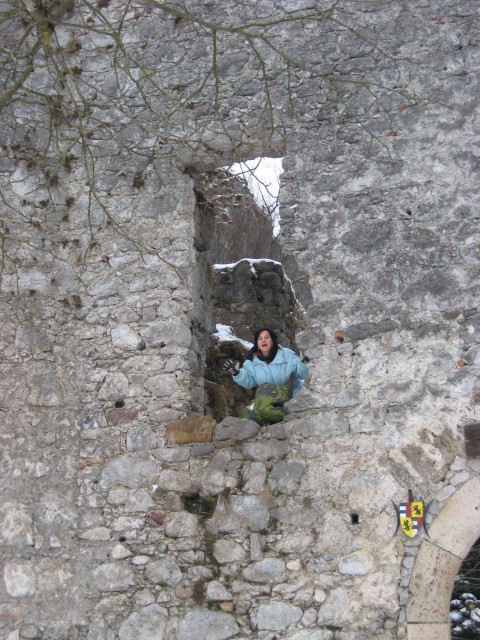 Zmaj straži princeso v stolpu