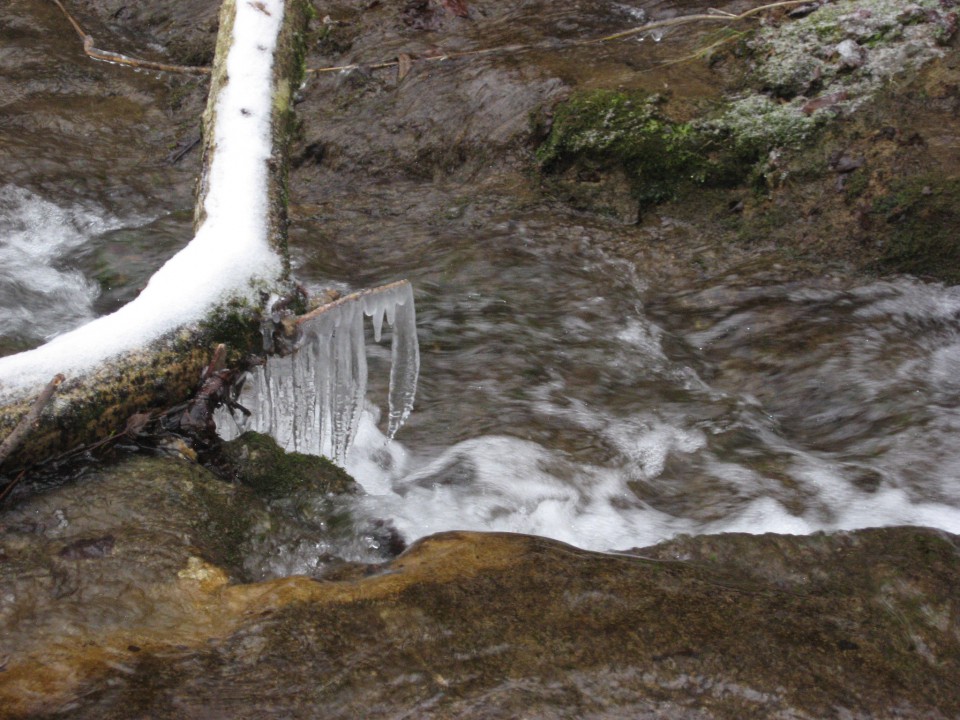 Izvir Nežice pozimi - 30.12.2008 - foto povečava