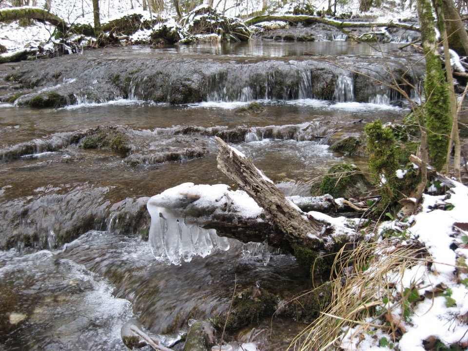 Izvir Nežice pozimi - 30.12.2008 - foto povečava