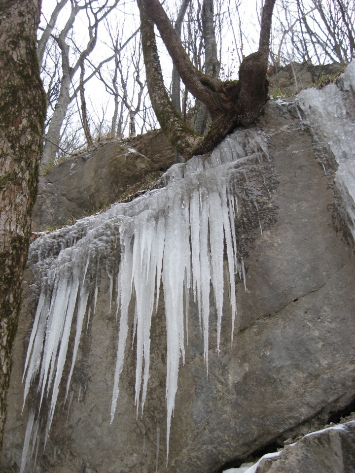 Izvir Nežice pozimi - 30.12.2008 - foto povečava