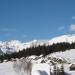 Pokljuka: Praprotnica, Zajamniki - 4.1.2009