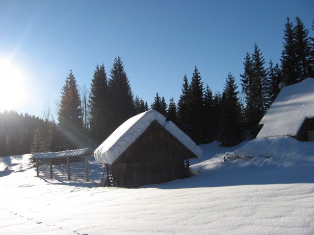 Planina Praprotnica-spodnji del ob cesti